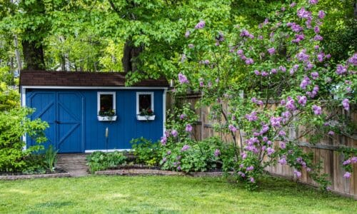 The Ultimate Guide to Choosing the Perfect Outdoor Shed